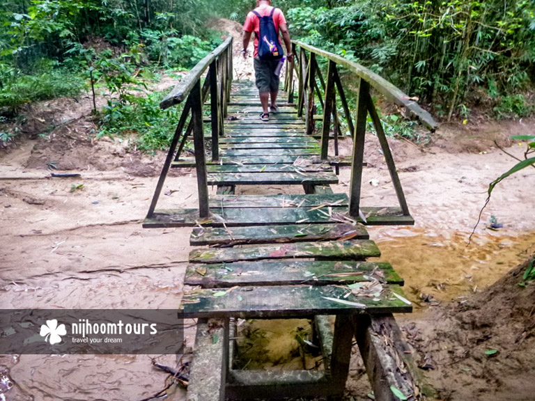 Bridge inside the Rajkandi Reserve Forest