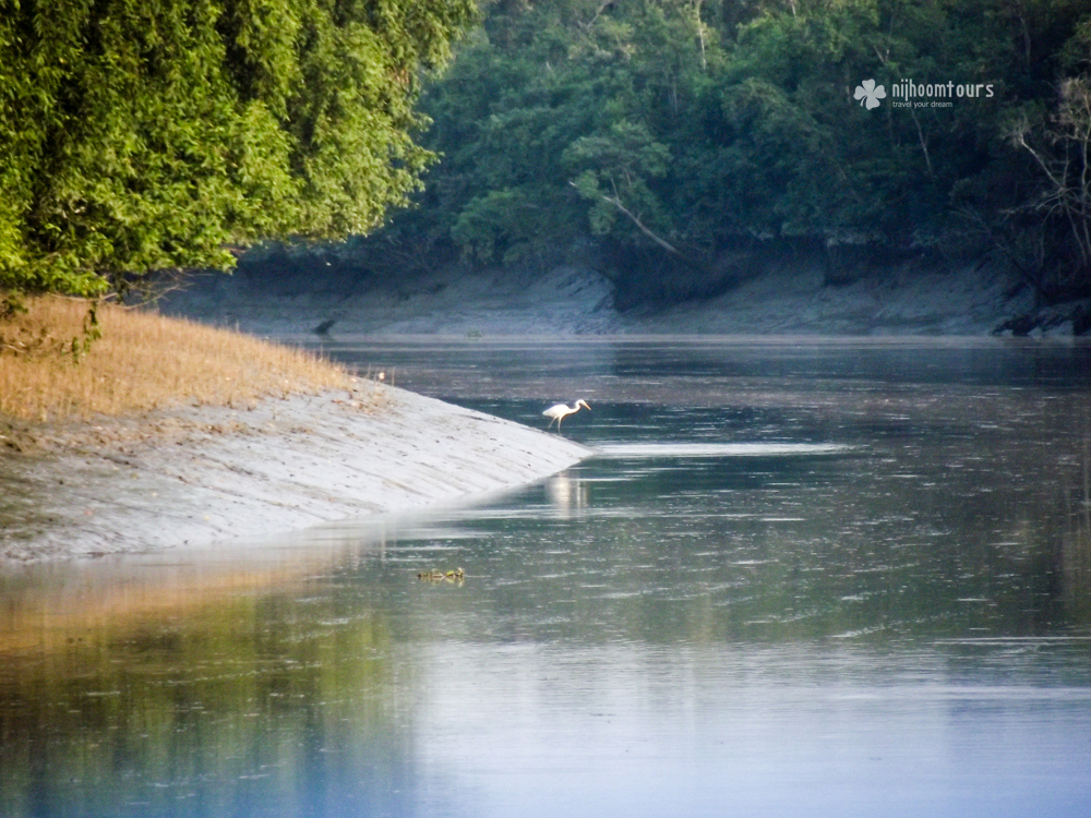 A canal inside Kotka Wildlife Sanctuary in the Sundarbans Mangrove Forest