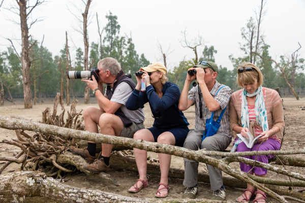 A small group tour in the Sundarbans Mangrove Forest