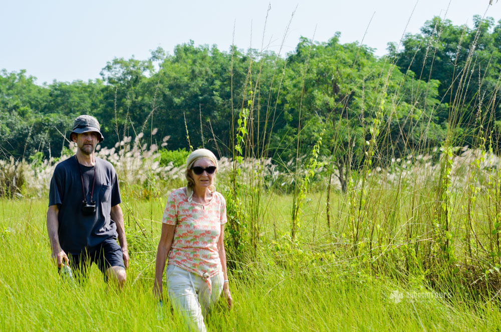 Trekking inside Sundarbans