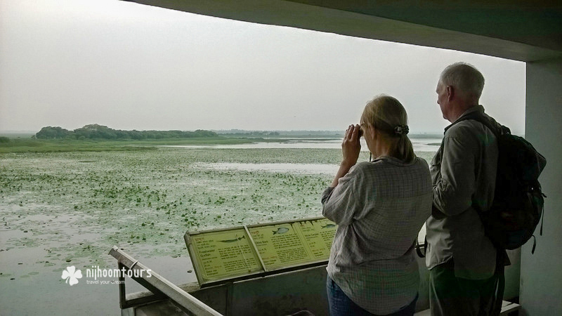 Exploring Bangladesh tour experience of Judith & John Cormack from UK