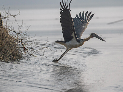 Avatar of 5 days Sundarban tour package from Dhaka with Nijhoom Tours