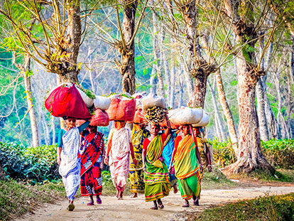 11 Days Highlights of Bangladesh Tour with a multi-award-winning local operator