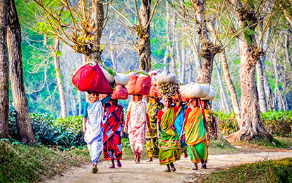 11 Days Highlights of Bangladesh Tour with a multi-award-winning local operator