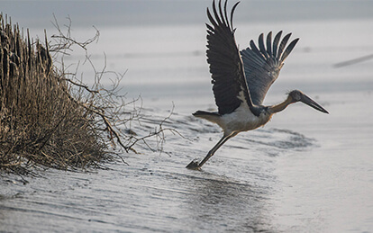 5-Day Sundarban tour package from Dhaka with visiting Bagerhat